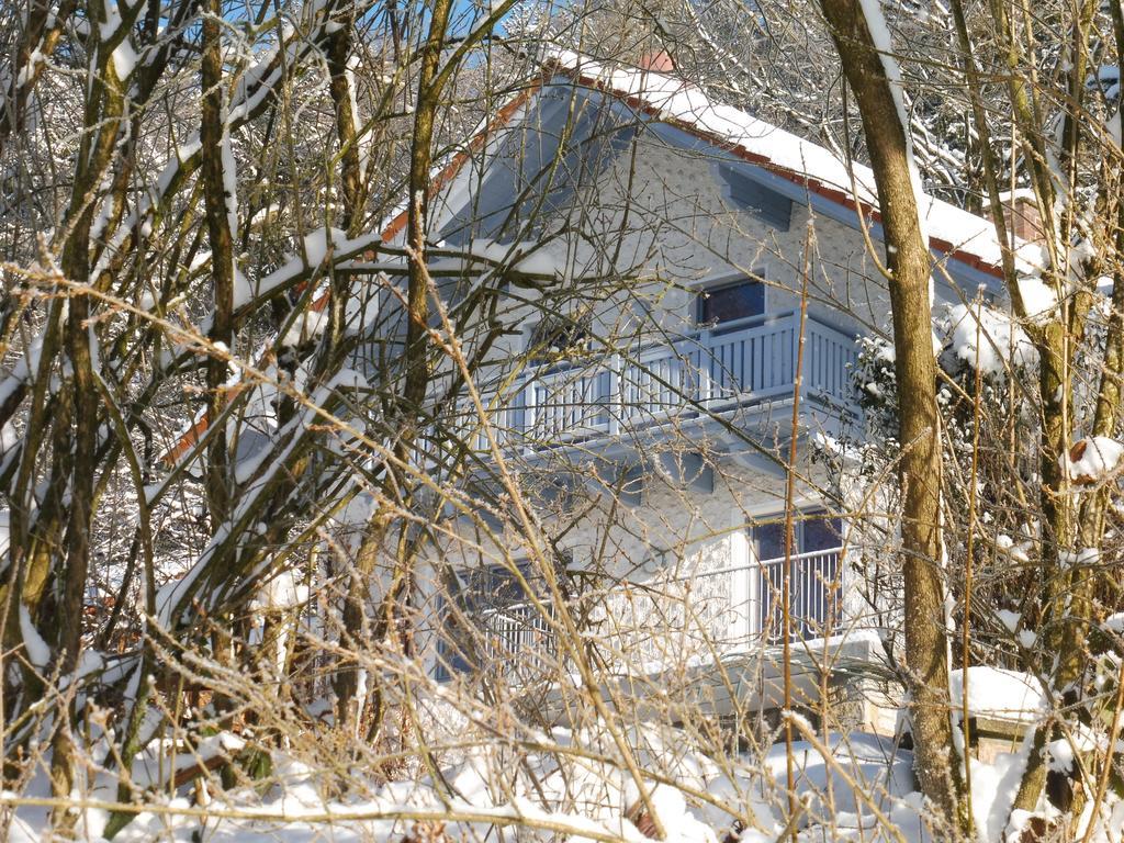 Ferienwohnung Regentalblick Miltach Exteriér fotografie